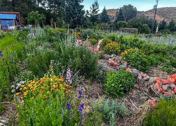 Historic Farm On Wine Trail Near Sedona Сasa de vacaciones Cottonwood